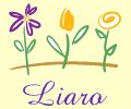 liaro2